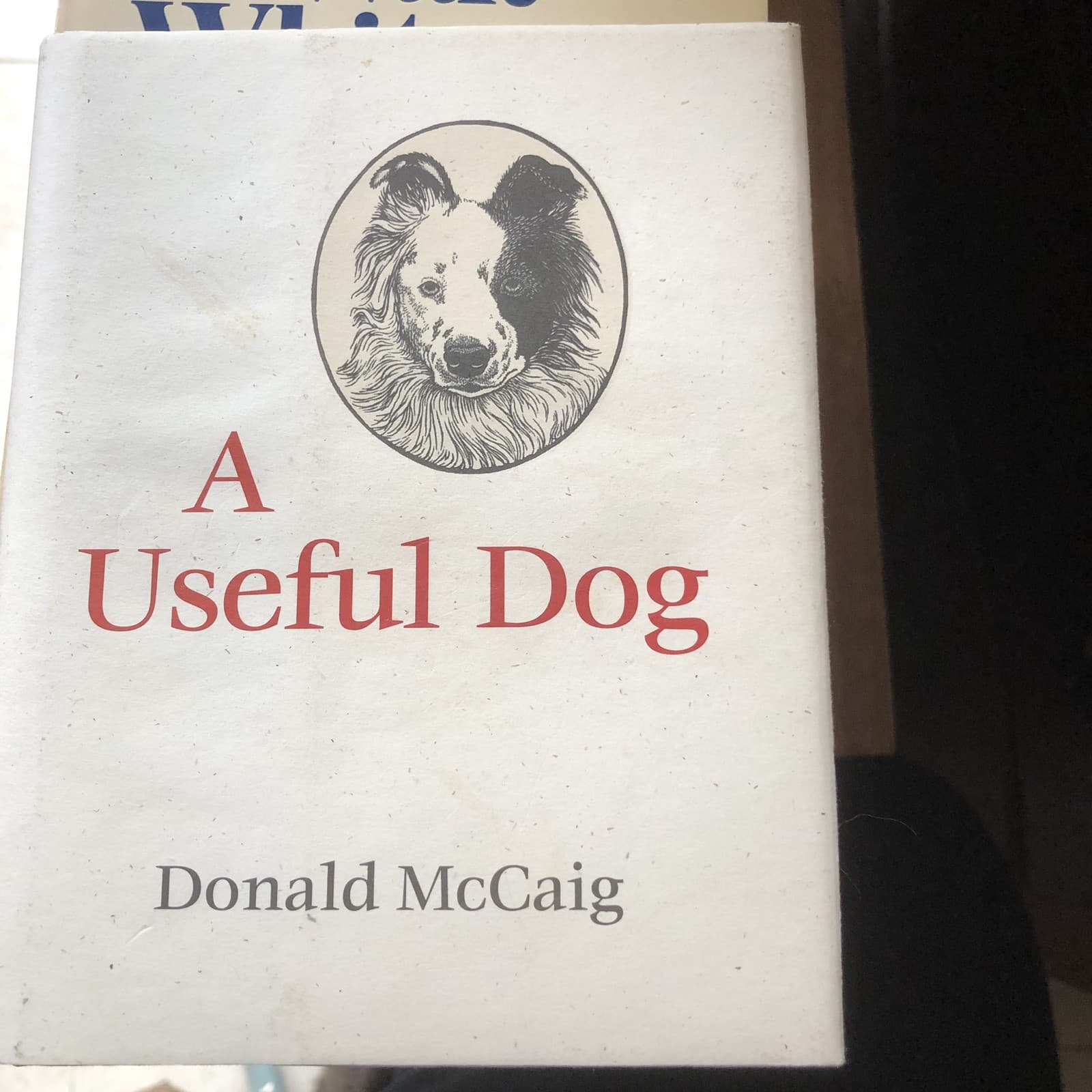 A Useful Dog - Image 1