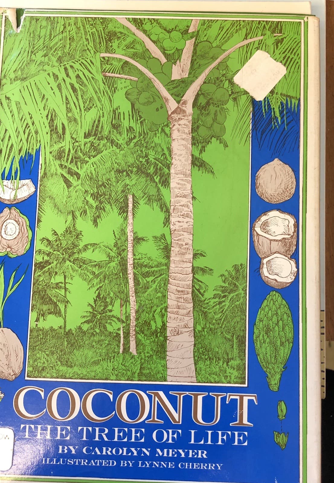 Coconut : The Tree of Life - Image 1
