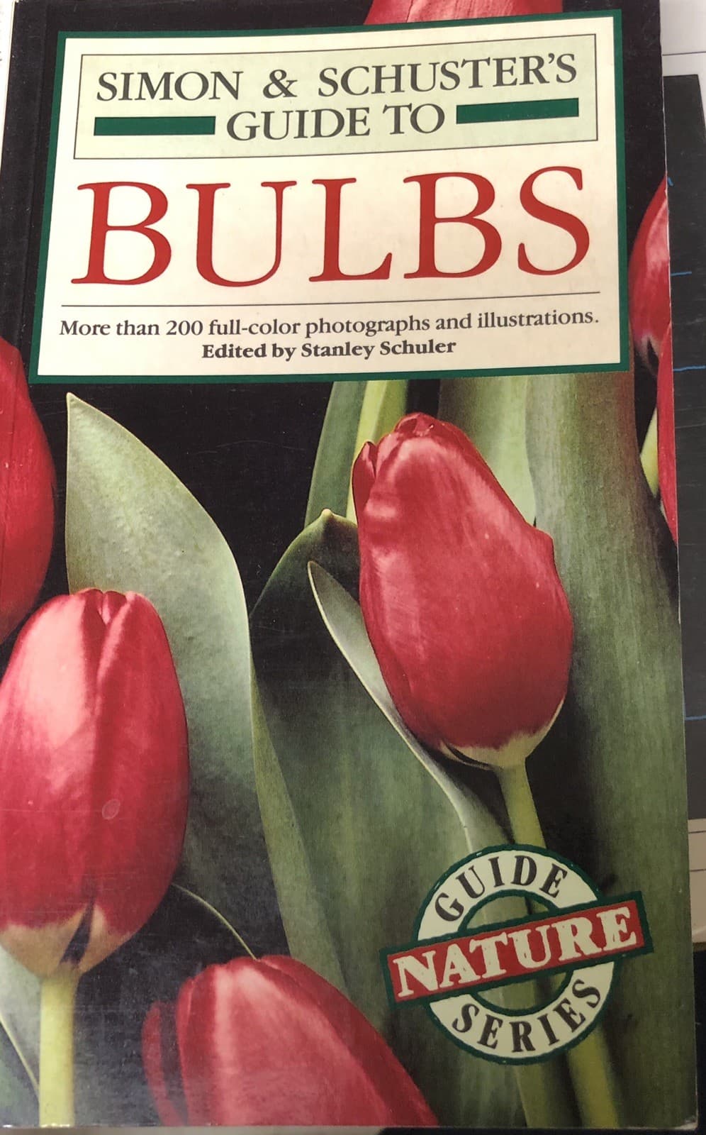 Simon and Schuster Bulbs (Paperback) - Image 1
