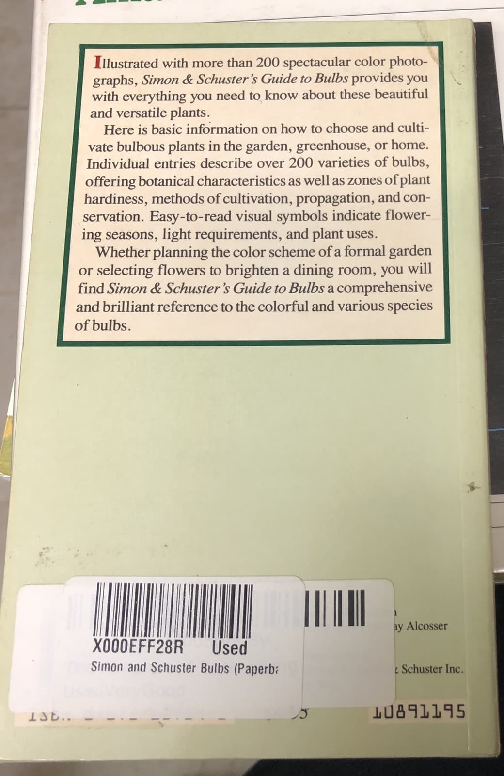 Simon and Schuster Bulbs (Paperback) - Thumbnail 2