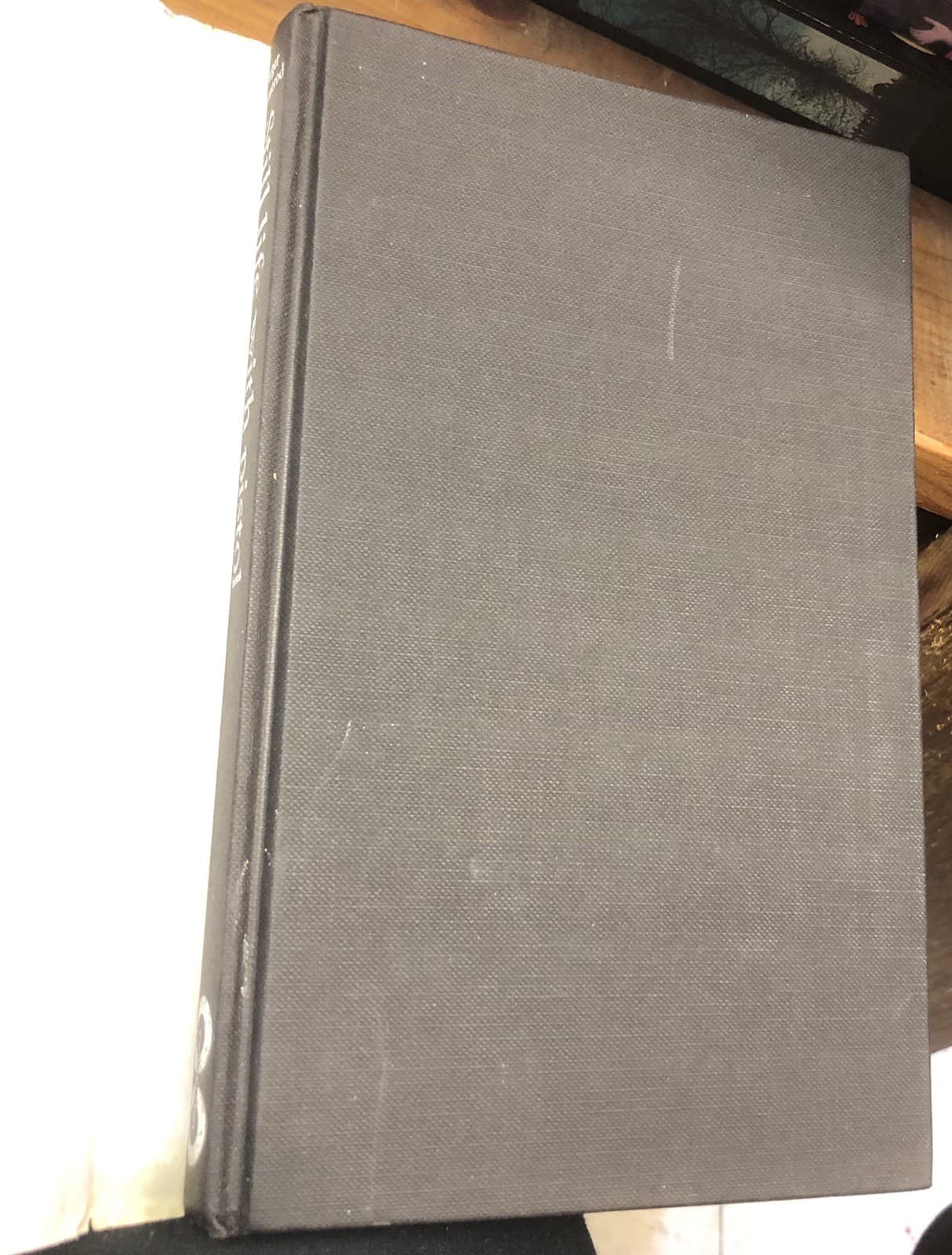 Still Life With Pistol 1st Edition Hardcover - Thumbnail 4