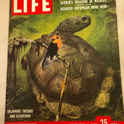 Life Magazine - September 8, 1958 - Fantastic Galapagos," highlighting Darwin's - Image 1