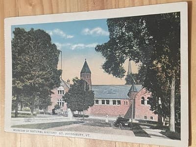Randall Whitcomb Museum of Natural History St Johnsbury VT Postcard Unused - Image 1