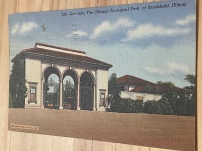 Curt Teich Chicago Zoological Park Entrance Brookfield Illinois Postcard Vintage - Image 1