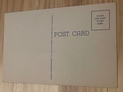 Curt Teich Postcard Skyline Susquehanna River Bridges Harrisburg PA Unposted - Thumbnail 2