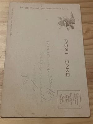 Iroquois Hotel Buffalo NY Vintage Postcard Illustrated Postal Card Co Unposted - Thumbnail 2