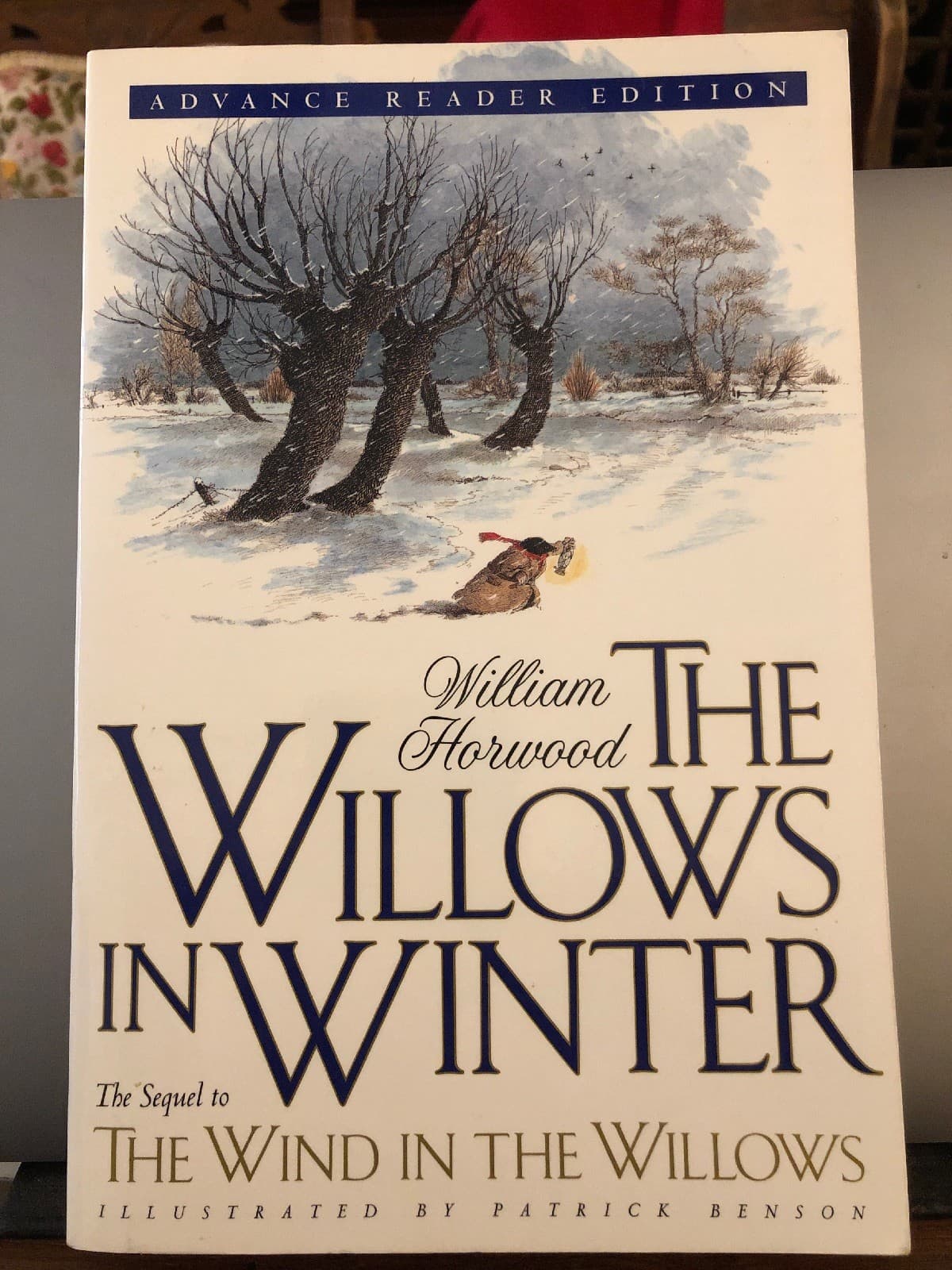 The Willows in Winter William Horwood 1994 1st US pb advance readers edition ARC - Image 1