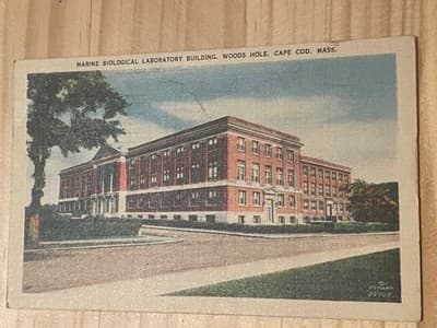 Woods Hole Marine Biological Laboratory Postcard Cape Cod Postmarked 1944 Linen - Image 1