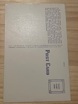 Sunken Gardens Christ Church Cathedral St Louis Postcard Unposted Linen 126 - Thumbnail 2