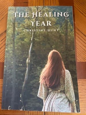 The Healing Year Christine Hunt Paperback Historical Fiction Scarlet Fever - Image 1