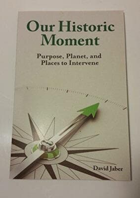 Our Historic Moment: Purpose, Planet and Places to Intervene - Image 1