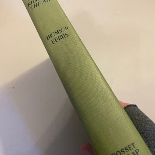 Rex Lee, Rough Rider of the Air 1930 1st edition hardcover - Thumbnail 2