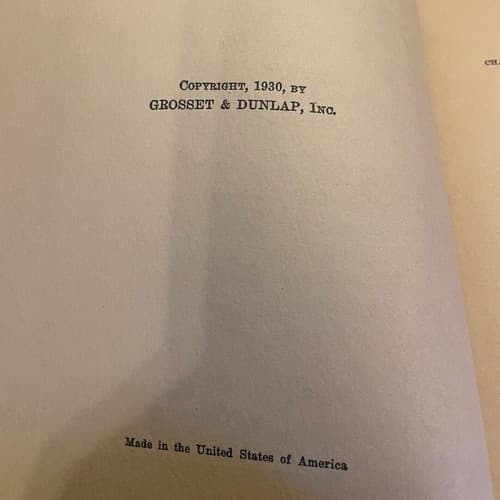 Rex Lee, Rough Rider of the Air 1930 1st edition hardcover - Thumbnail 6