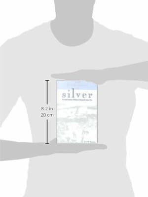 The Bewitchment of Silver: The Social Economy of Mining Nineteenth-Century Peru - Thumbnail 2