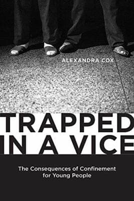 Trapped in Vice Consequences Confinement Young People Issues Crime Society - Image 1