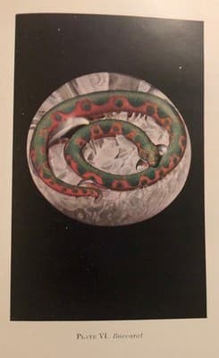 Old Glass Paperweights Bergstrom 2nd Printing 1948 Hardcover w/ DJ Color Plates - Thumbnail 11