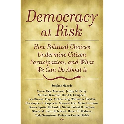 Democracy at Risk: How Political Choices Undermine Citizen Participation - Image 1
