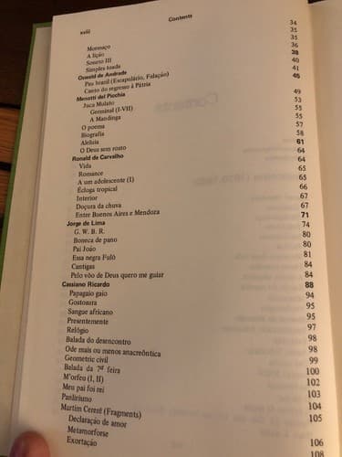 Brazilian Literature 3: 1920-1960 Modernism - Thumbnail 4