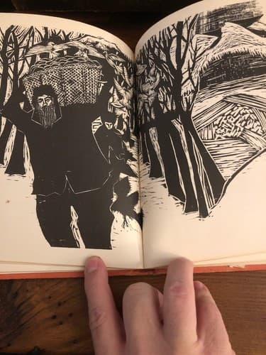 Journey Outside: Mary Q. Steele (1969) 1st Edition Hardcover Ex-Library Copy - Thumbnail 4