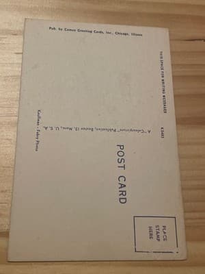Palmer House Chicago Illinois Vintage Postcard Cameo Greeting Cards Unused - Thumbnail 2
