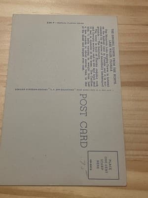 Curteich Postcard Singing Tower Bok Tower Lake Wales Florida 238-F Unused Linen - Thumbnail 2