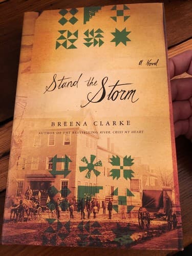 AUTOGRAPHED Stand the Storm 1st Edition Hardcover Breena Clarke - Thumbnail 2