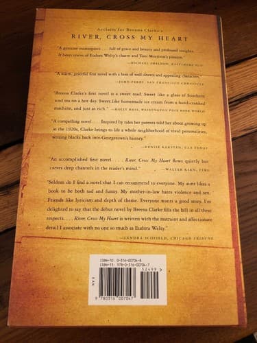 AUTOGRAPHED Stand the Storm 1st Edition Hardcover Breena Clarke - Thumbnail 5