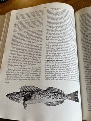McClane's Standard Fishing Encyclopedia Hardcover Angling Guide Illustrated - Thumbnail 6