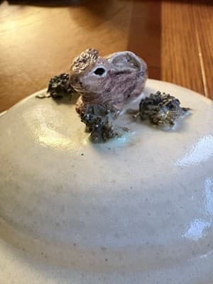 Handmade Pottery Lidded Bowl Rabbit Lid Knob Ceramic Covered Dish Ivory Figural - Thumbnail 6