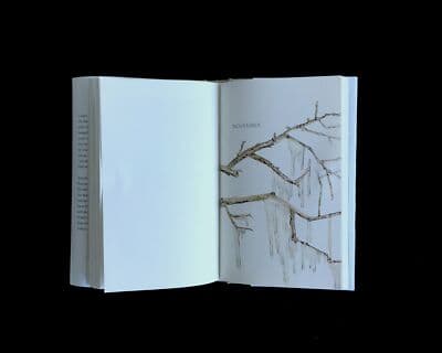 Autumn park ove knausgaard 1st edition hardcover - Thumbnail 5
