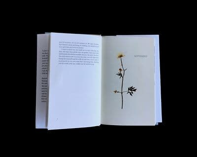 Autumn park ove knausgaard 1st edition hardcover - Thumbnail 7