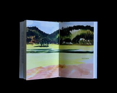 Autumn park ove knausgaard 1st edition hardcover - Thumbnail 6