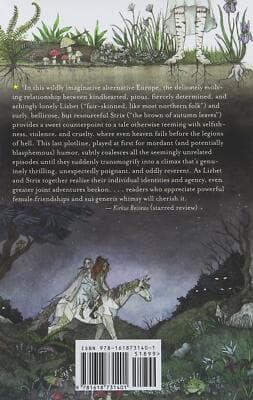 Half-Witch: a novel 1st printing softcover John Schoffstall - Thumbnail 2