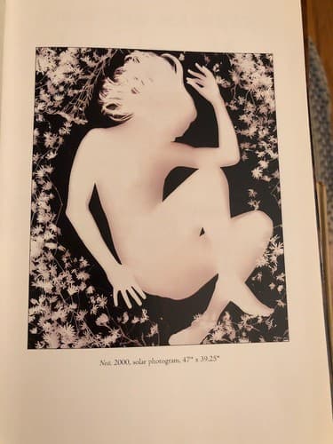 Vernal equinox: Recent photograms 1st Edition Hardcover Martha Madigan - Thumbnail 2
