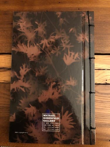 Vernal equinox: Recent photograms 1st Edition Hardcover Martha Madigan - Thumbnail 7