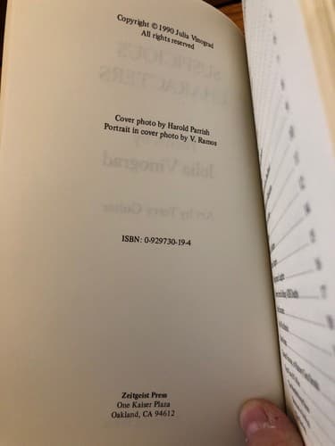 Suspicious Characters 1st Edition Julia Vinograd Poetry - Thumbnail 2