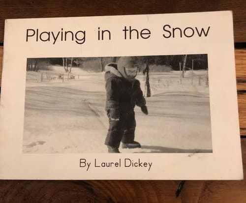 Playing in the snow - Image 1