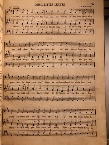 The Silver Star J F King L M Evilsizer 1894 Hardcover Edition - Thumbnail 5