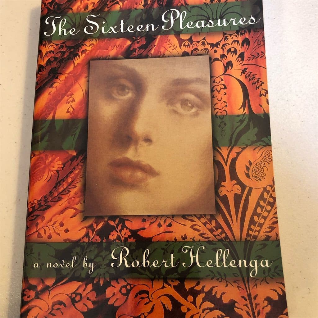The Sixteen Pleasures by Robert Hellenga Paperback Novel 1994 Fiction - Image 1