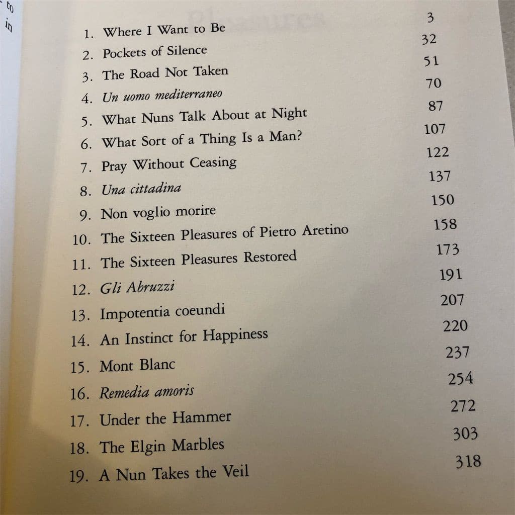 The Sixteen Pleasures by Robert Hellenga Paperback Novel 1994 Fiction - Thumbnail 3