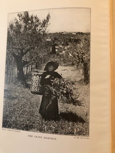 Tuscan feasts Tuscan friends 1907 1st Chatto London Printing Dorothy Nevile Lees - Thumbnail 4