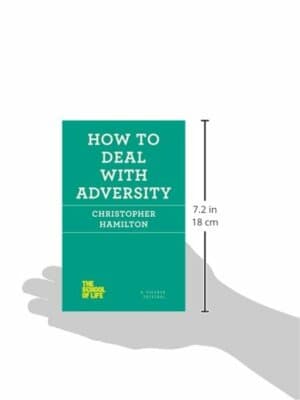 How to Deal with Adversity (The School of Life) - Thumbnail 3
