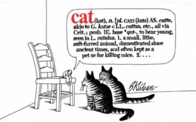 Kliban: CAT 1st edition, 12th printing - Image 1