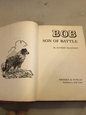 Vintage Bob Son Of Battle Alfred Ollivant Famous Dog Stories HC DJ Illus - Thumbnail 5