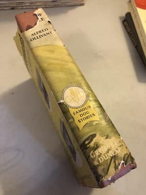 Vintage Bob Son Of Battle Alfred Ollivant Famous Dog Stories HC DJ Illus - Thumbnail 10