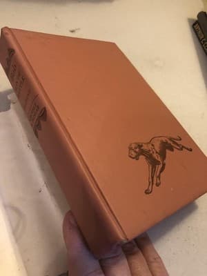 Vintage Bob Son Of Battle Alfred Ollivant Famous Dog Stories HC DJ Illus - Thumbnail 2