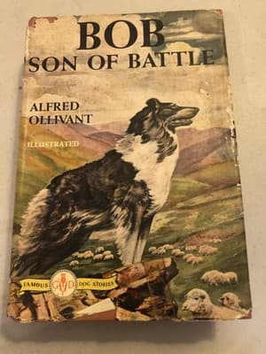 Vintage Bob Son Of Battle Alfred Ollivant Famous Dog Stories HC DJ Illus - Image 1