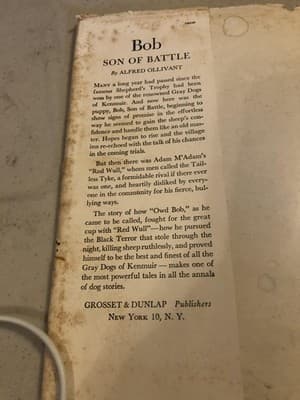 Vintage Bob Son Of Battle Alfred Ollivant Famous Dog Stories HC DJ Illus - Thumbnail 3
