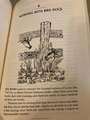 Bobs, Brush, And Brittanies Joel Vance Quail Hunting Dogs Hardcover 1997 Lyons - Thumbnail 8