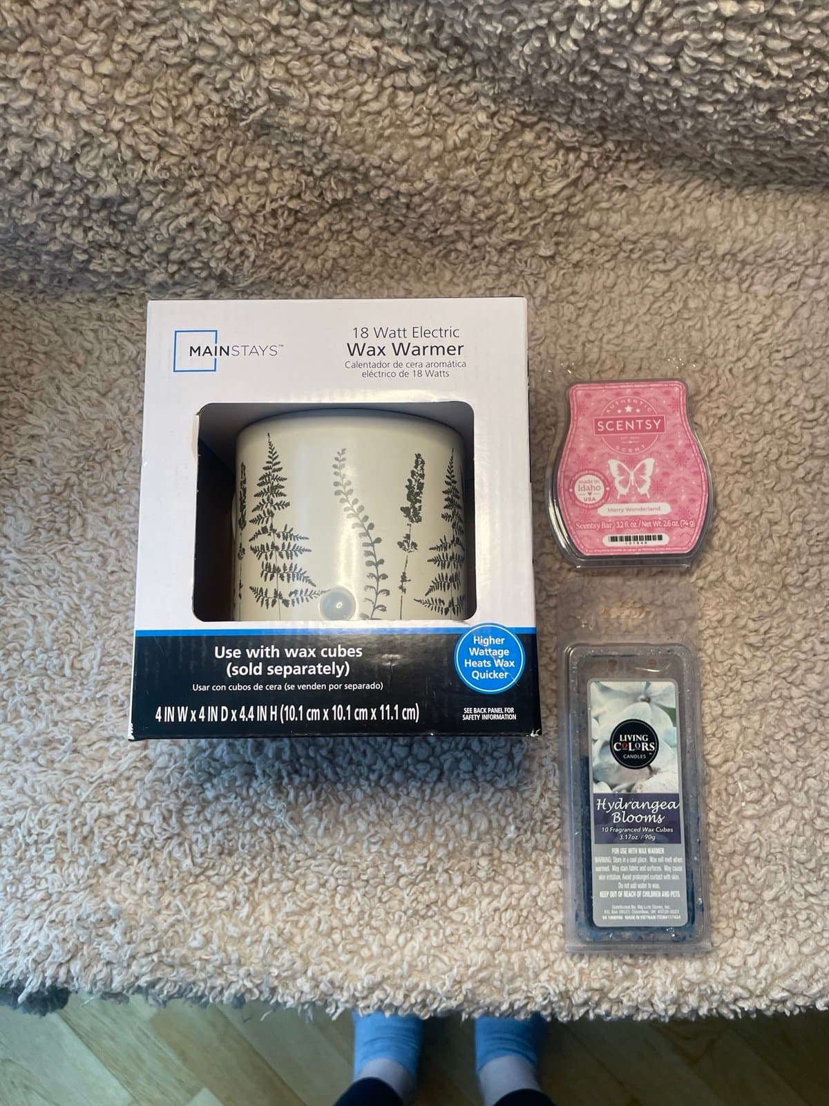 Wax Warmer and Melts